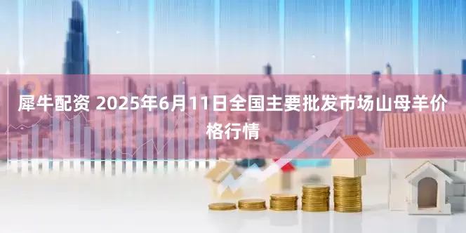 犀牛配资 2025年6月11日全国主要批发市场山母羊价格行情