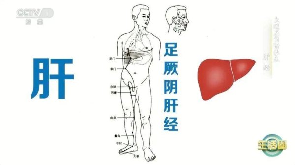 捷希源 肝好不好&#32;看这2处就知道！秋季养肝建议你做好这几件事