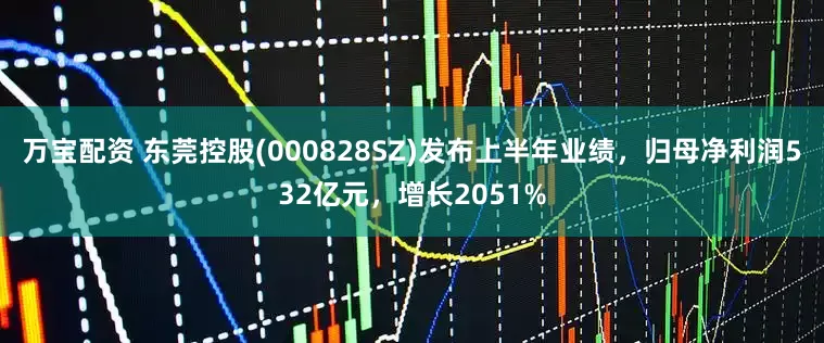 万宝配资 东莞控股(000828SZ)发布上半年业绩，归母净利润532亿元，增长2051%